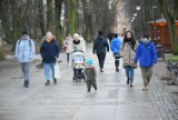 Świąteczne popołudnie w Radomiu. Zobacz spacerujących na deptaku, w Parku Kościuszki i na Borkach