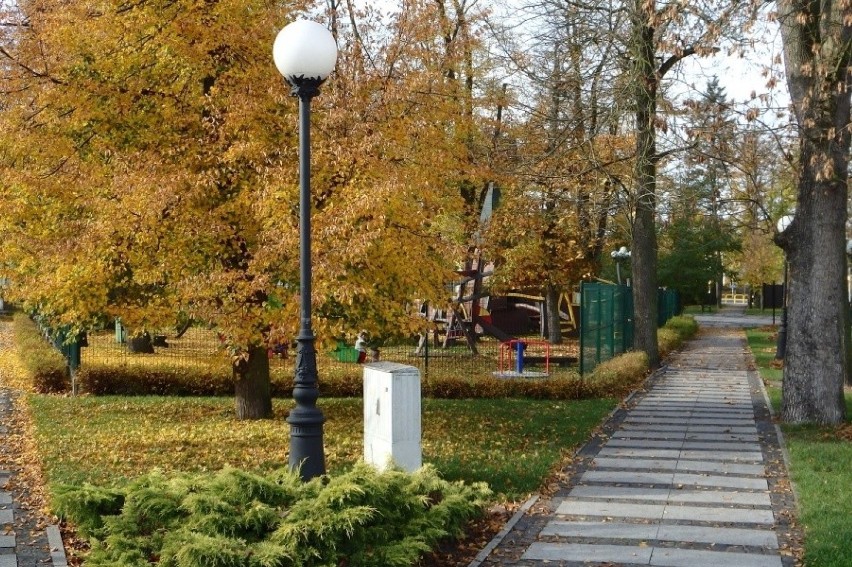 W parku w Rzgowie zamiast nowych latarni zostaną wymienione żarówki   