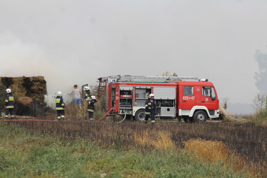 Znamy szczegóły pożarów w Chwaliszewie [ZDJĘCIA]     