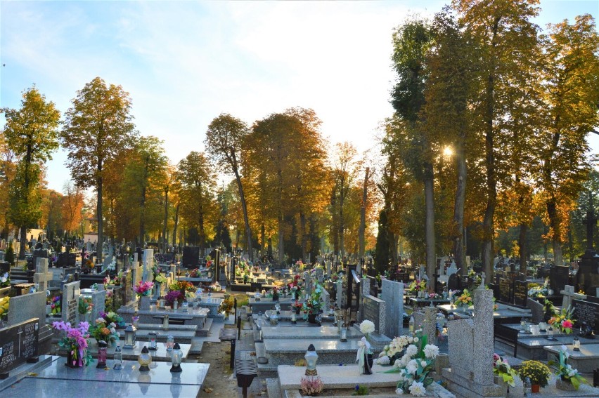 Polska, złota jesień 2022 udekorowała stary cmentarz w...