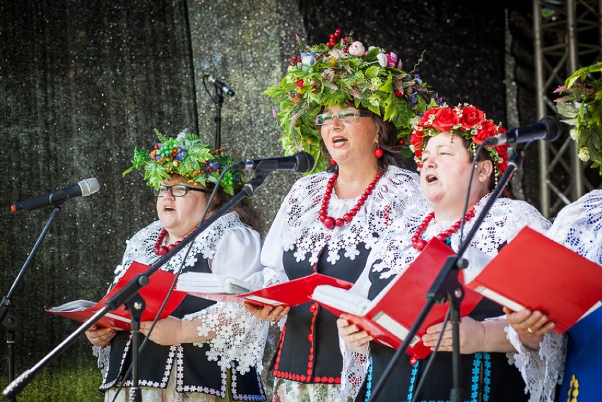 BRYNEK ŚWIĘTO LASU 2015