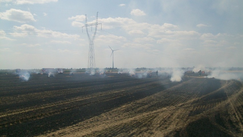 Pożar na polu:  płonęło ściernisko i 85 balotów słomy