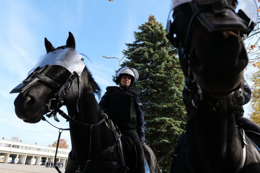 Wymagający egzamin dla koni "służących" w podkarpackiej policji [ZDJĘCIA, WIDEO]