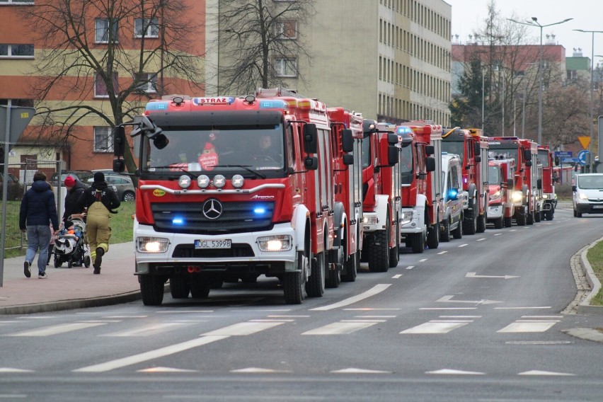 Zdjęcia z parady samochodów