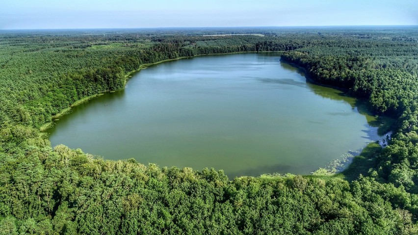 Jezioro Gołębie, perełka niedaleko Gorzowa