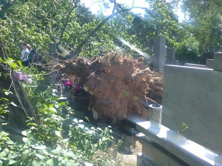 Drzewo uszkodziło pomniki na cmentarzu na kieleckim Białogonie
