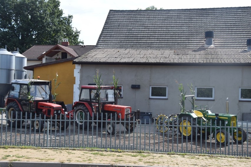 Dożynki miejskie w Tychach-Urbanowicach