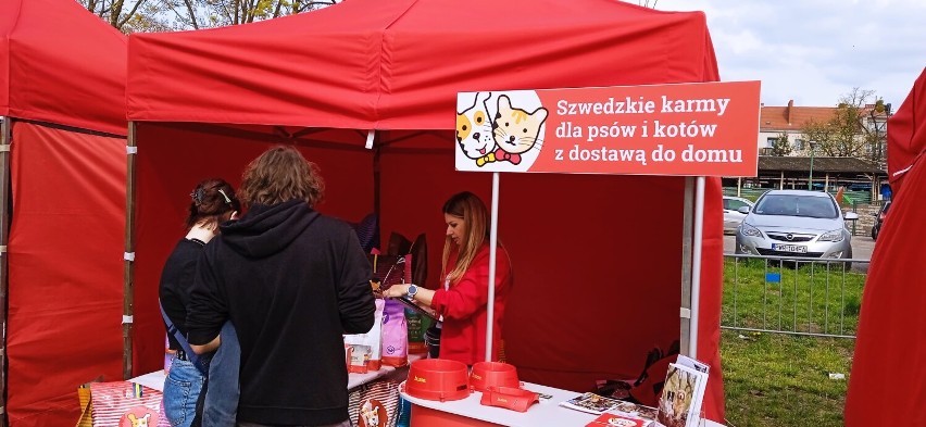 WRZEŚNIA: Festiwal Psów - na Wrzosowej pełno dziś czworonogów i ich właścicieli. Jaki jest cel wydarzenia?
