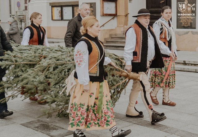 Choinka pod Tatr trafiła do papieskiego muzeum w Wadowicach