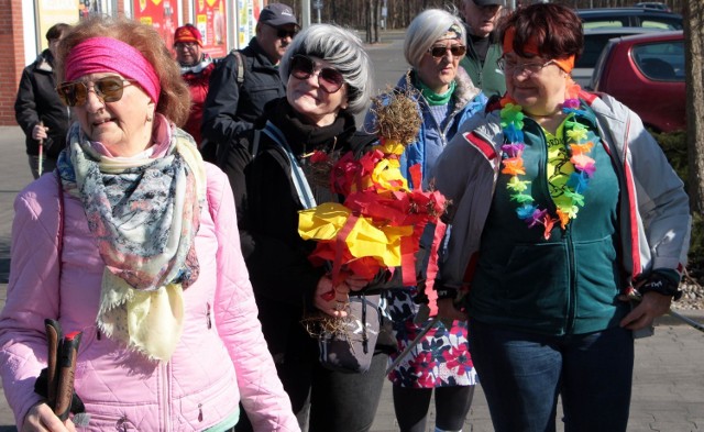 Dzisiejszy (20 marca) wiosenny, kolorowy marsz Nordic Walking "Patyczaków" wiódł przez las komunalny do plaży miejskiej i działek nad Jeziorem Rudnickim. Po drodze szukano oznak wiosny, których jest już bardzo wiele. W przyszłym tygodniu Patyczaki zapraszają na marsz "Na kolejowym szlaku" z Grudziądza do Górnej Grupy.