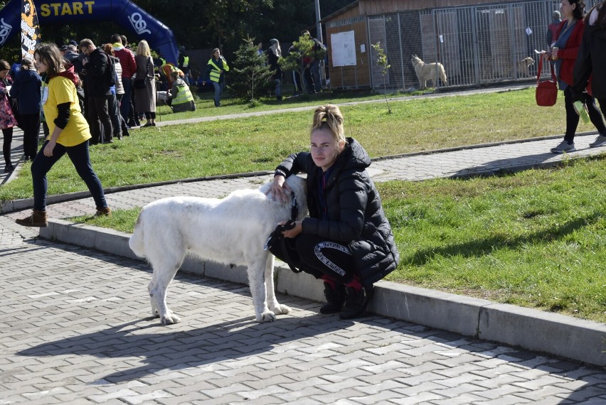 W schronisku dla zwierząt w Skierniewicach odbyła się piąta edycja Biegu z PSYjacielem 
