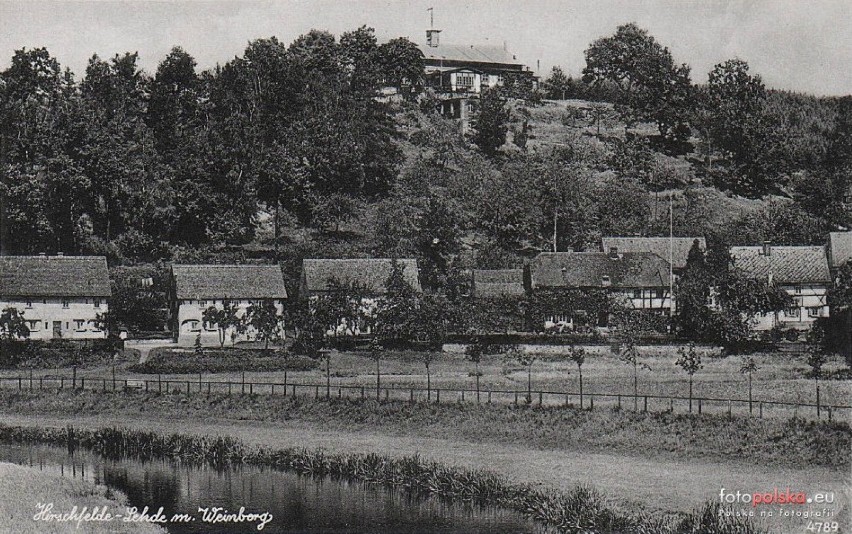 Rycerze, rozbójnicy i  Związek Sześciu Miast. Co kryje historia ruin zamku w Trzcińcu? 