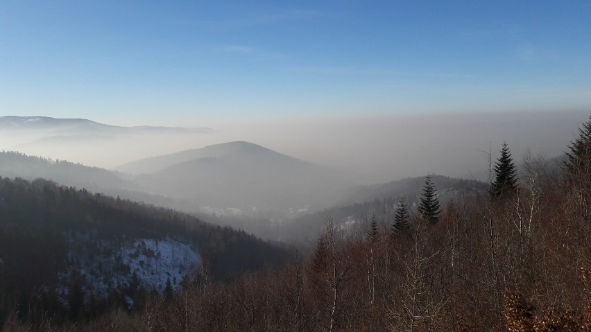 Zdjęcie z Magurki Wilkowickiej w kierunku Bielska-Białej i...