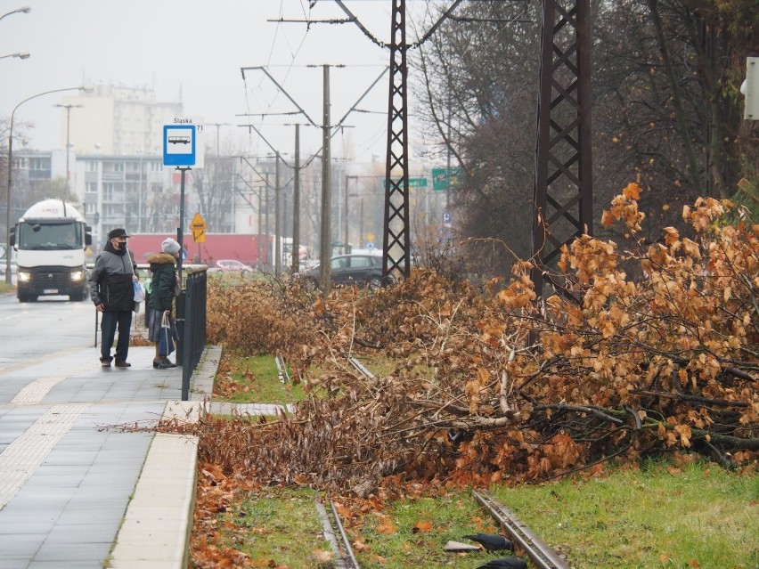 Tory tramwajowe na Dąbrowę Niższą zamieniono na składowisko...