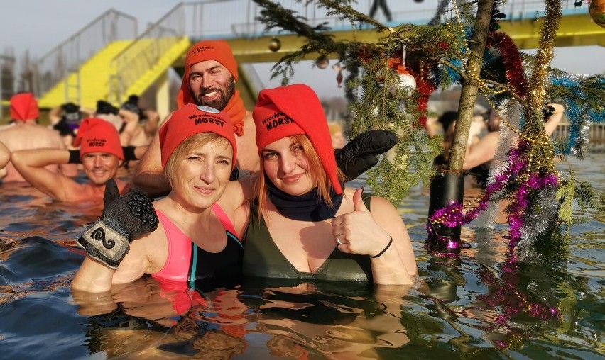 Morsy z Wrocławia kochają kąpiele w lodowatej wodzie!