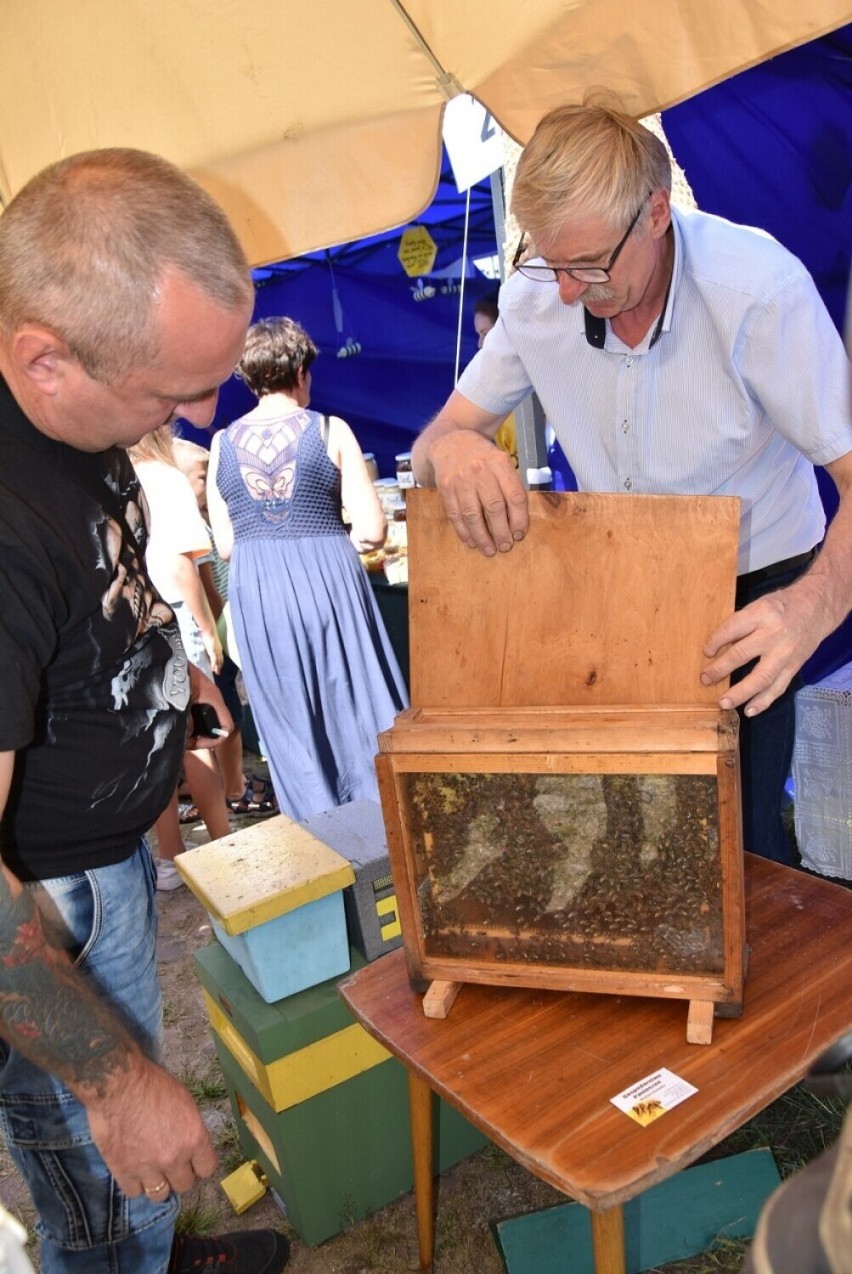 Wielkopolski Dzień Pszczół odbędzie się w centrum Kalisza