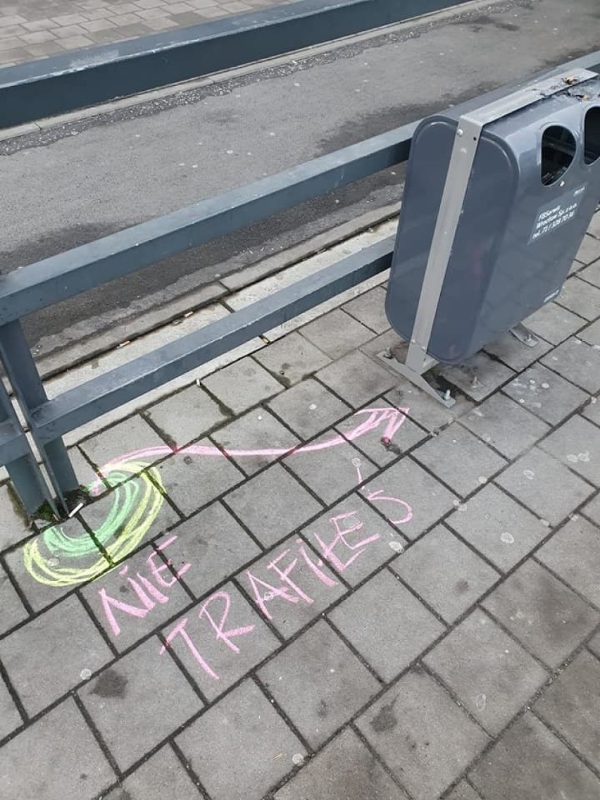Co to za rysunki na chodnikach na wrocławskim Gaju? Wyjaśniamy! 