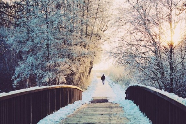 Zima zagościła w Radomiu już na dobre. Radomianie uwiecznili to na swoich fotografiach. Zobaczcie pięknie zdjęcia umieszczane przez mieszkańców Radomia na Instagramie. Zapraszamy do naszej galerii 

>>>ZOBACZ KOLEJNE ZDJĘCIA