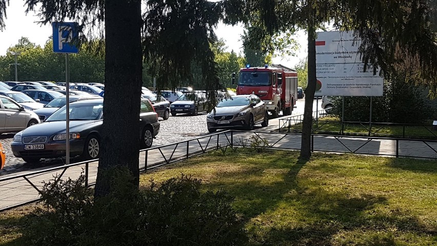 Matura 2019 we Włocławku. Niespokojny ranek - znów alarmy bombowe w szkołach [zdjęcia]