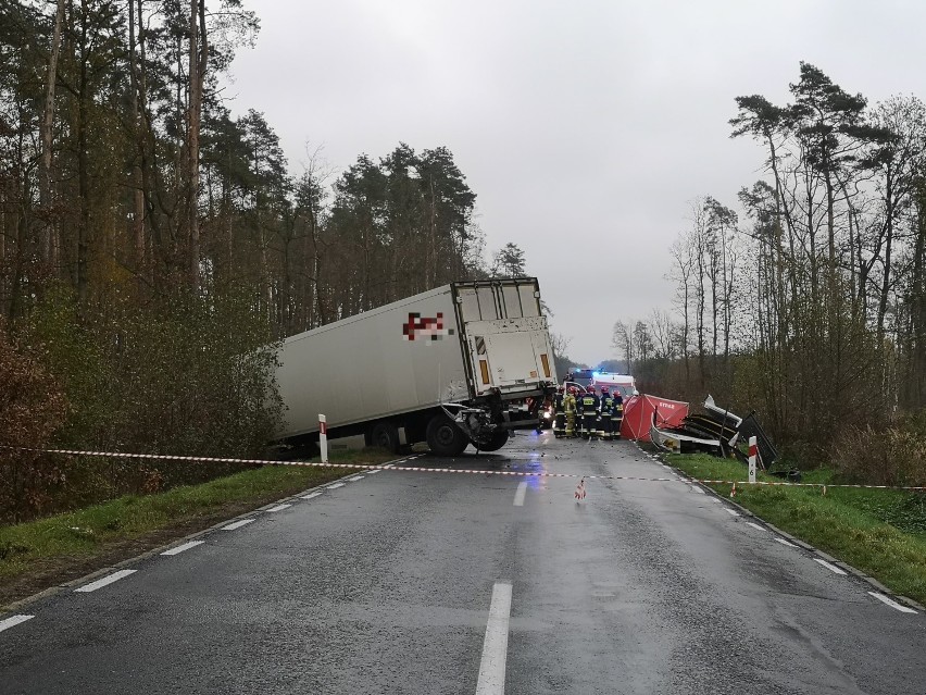 Śmiertelny wypadek na trasie Sulmierzyce-Odolanów [ZDJĘCIA]                            