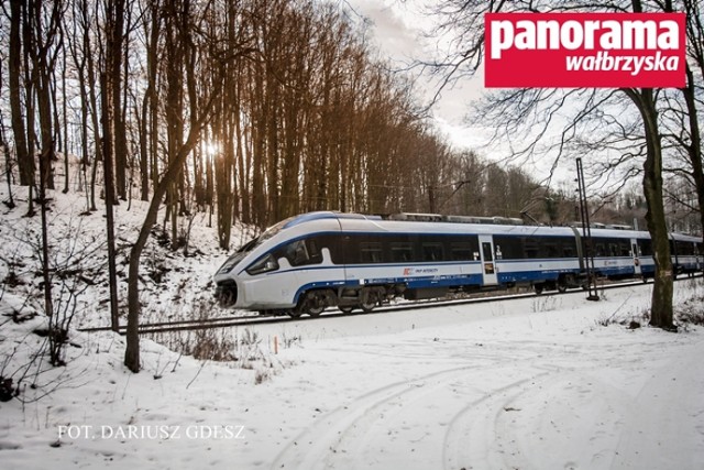 PKP PLK S.A. rozwiewa spekulacje, by wycinka drzew w okolicach 61 km linii kolejowej z Wrocławia do Wałbrzycha była związana z poszukiwaniami „złotego pociągu”
