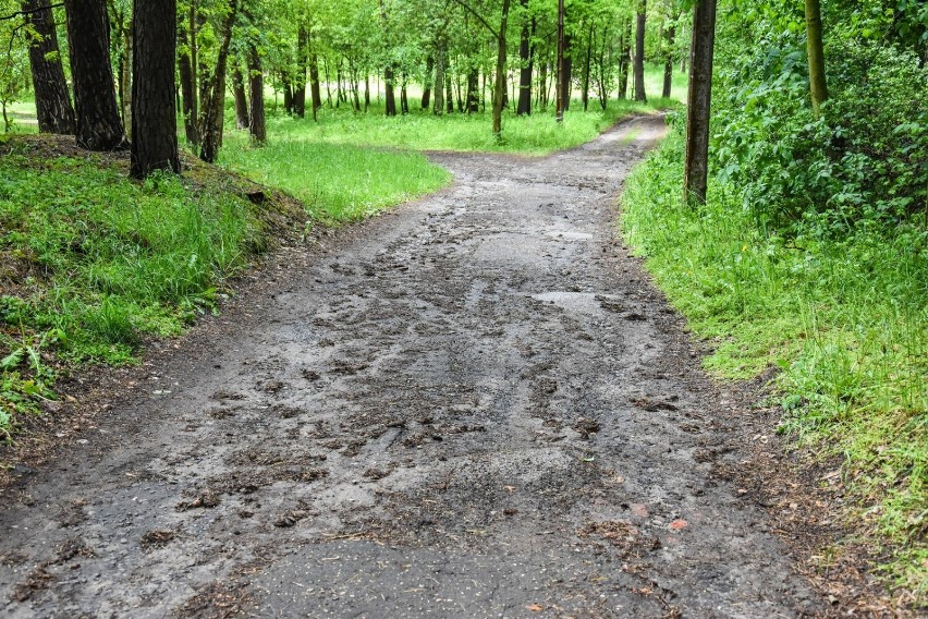 Gm. Ostroróg. W wolne popołudnie wybierz się nad Mormin! Letników jeszcze nie ma, ale teren pełen jest uroku