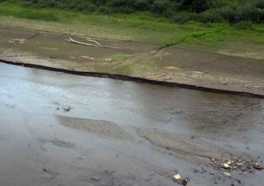 Susza hydrologiczna w Bieszczadach. Niski stan wody w Sanie [ZDJĘCIA]