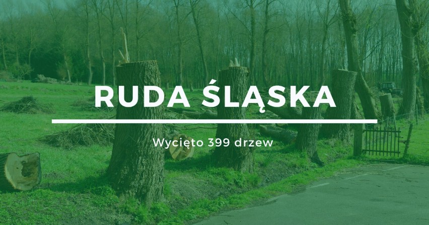 Miejsce 10: Ruda Śląska