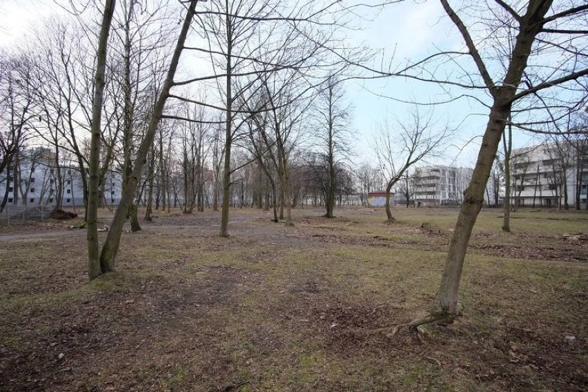 Taki park tylko w Poznaniu: Kosmos, tor przeszkód dla psów i plac zabaw [ZDJĘCIA]