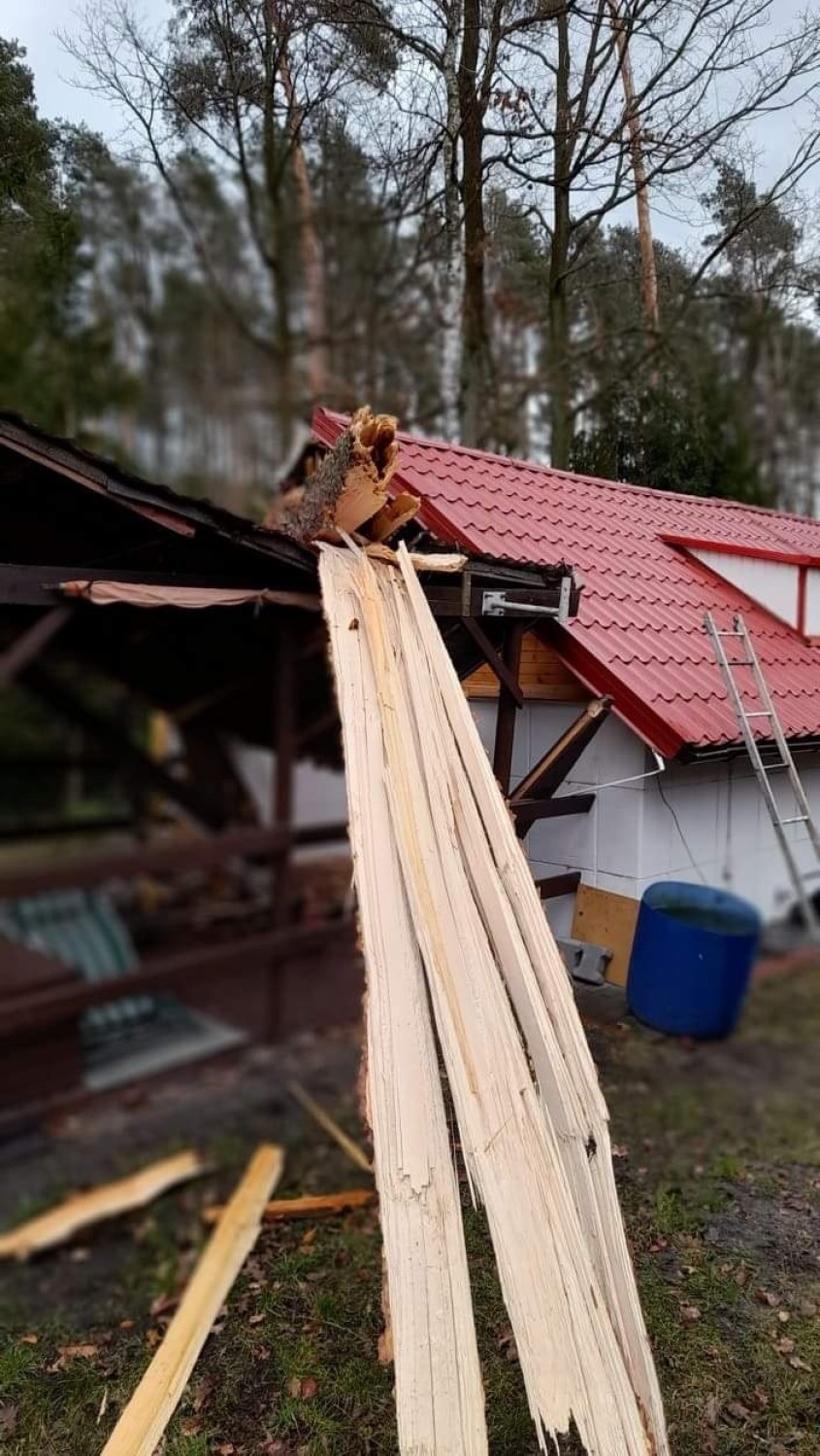 We wtorek (22 lutego) złamane drzewo spadło na domek...