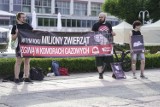 „Prawdziwa cena futra”, czyli happening aktywistów stowarzyszenia Otwarte Klatki na Skwerze Kuracyjnym w Sopocie