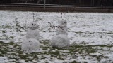 Spadł śnieg i już są pierwsze bałwany ZDJĘCIE