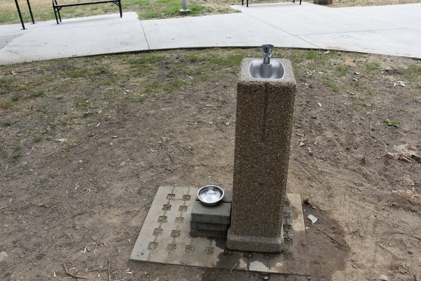 Tarnów. W Parku Piaskówka mieszkańcy mogą napić się wody