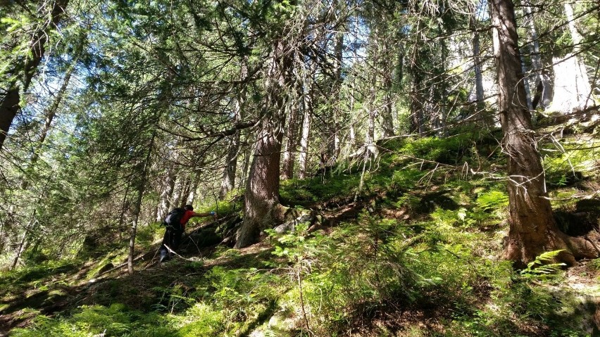 Wyszedł w Tatry, znaleziono jego kości i czaszkę. Do dzisiaj nie wiadomo, kim był [ZDJĘCIA]