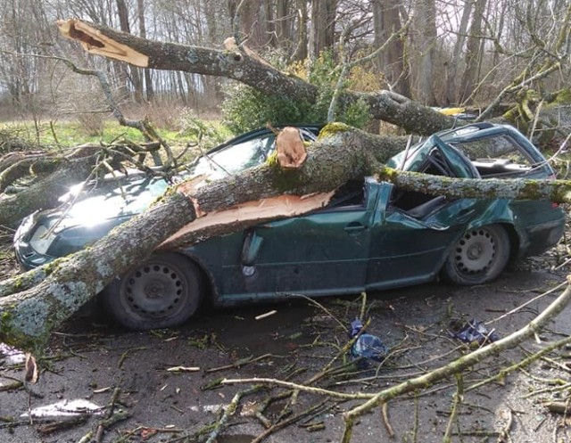 Walące się pod wpływem wiatru drzewo runęło na samochód w Robuniu (gmina Gościno)