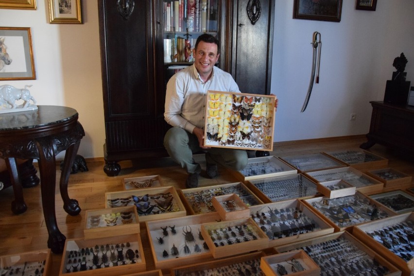 Entomolog z Bolszewa Marcin Skulski w swoich zbiorach posiada ok. 2,5 tys. gatunków chrząszczy