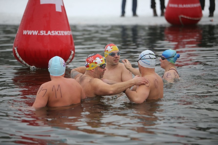 Silesia Winter Swimming: Zimowi pływacy na Dolinie Trzech...