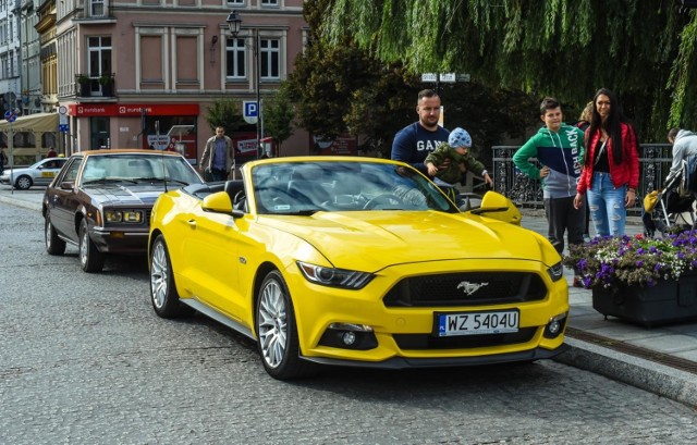 Zlot Fordów Mustangów rozpoczął się w sobotę w Myślęcinku. Stamtąd zabytkowe auta pojechały do centrum miasta, gdzie bydgoszczanie mogli je podziwiać na Starym Rynku i Placu Teatralnym. Zobaczcie zdjęcia Fordów Mustangów, które zjechały do Bydgoszczy!