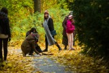 Pogoda w Łodzi i regionie na poniedziałek, 24 października