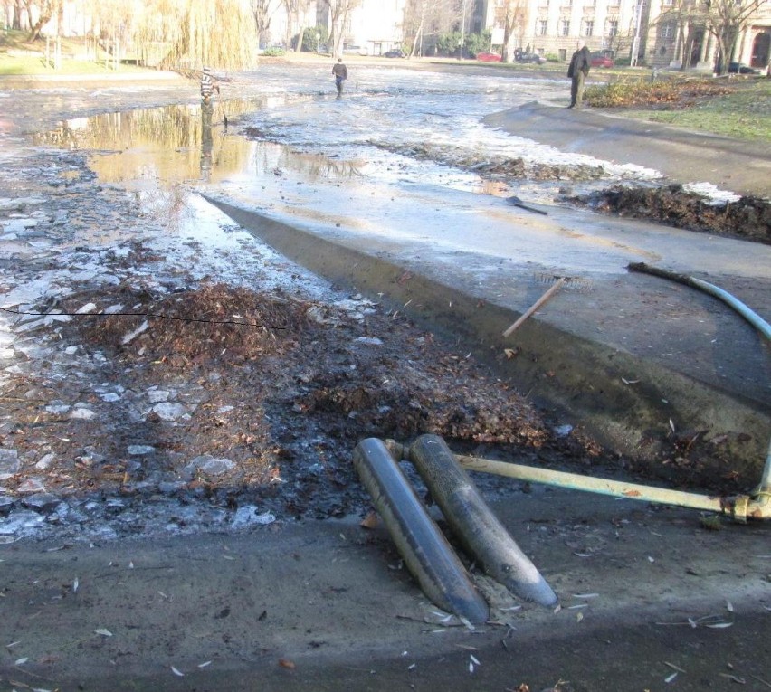 Park Marcinkowskiego: Wielkie sprzątanie