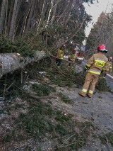 Wichura w Wałbrzychu i powiecie wałbrzyskim. Zerwane dachy, sygnalizatory, połamane drzewa 