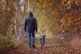 Co za zmiana! Dziś w całym Ostrowie Wielkopolskim jakość powietrza jest dobra. Spacer na świeżym powietrzu bardzo zalecany