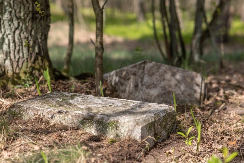 Porządkowanie cmentarza ewangelickiego w Zabłotach