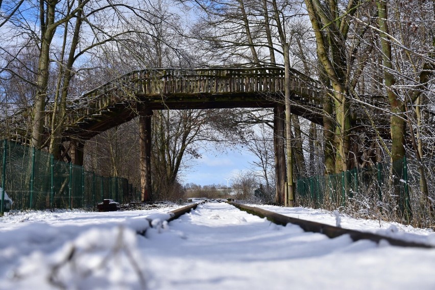 Zimowy spacer po biskupińskim rezerwacie archeologicznym