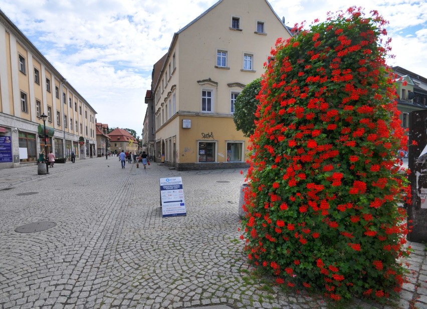 Wieże kwiatowe – od kilku lat wpisały się w letni krajobraz...