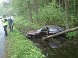 Pietronki / Rataje: Wypadek citroena. Ściął słup i wjechał na mokradła