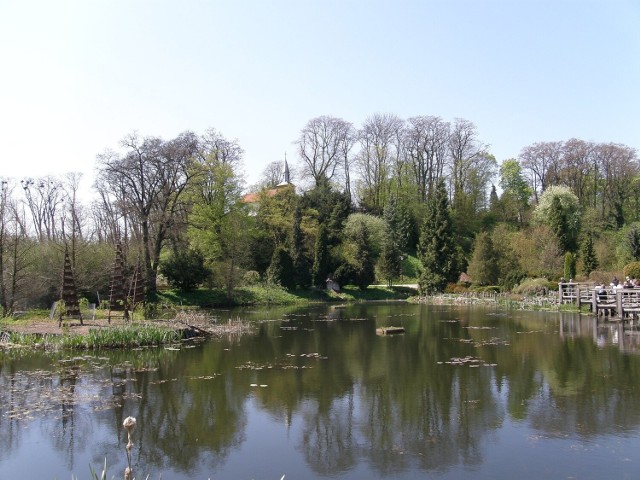 CC BY-SA 4.0

Arboretum Bolestraszyce to niezwykłe miejsce z tysiącami rzadkich drzew i krzewów. Sprawdzamy, jakie atrakcje ma do zaoferowania na majowy weekend.