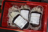 Zebrali ponad 100 litrów krwi w Bytowie. Kolejna akcja zorganizowana zostanie 17 stycznia 