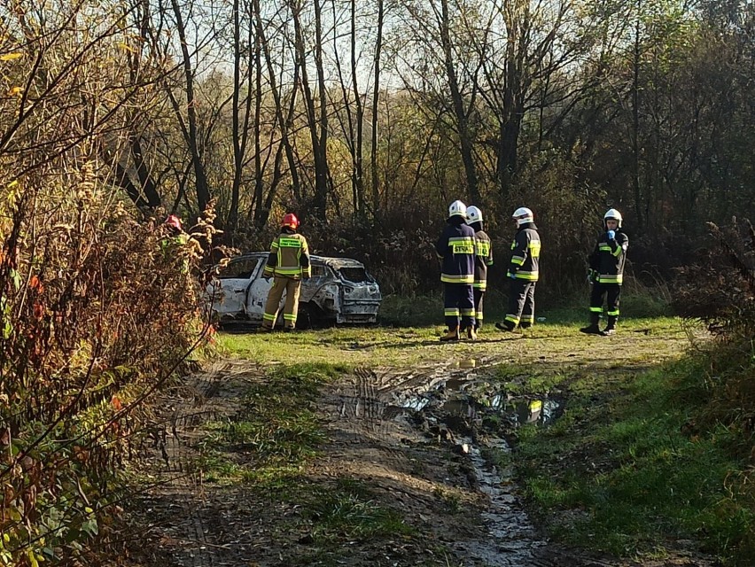 W spalonym samochodzie odnaleziono zwłoki mężczyzny.