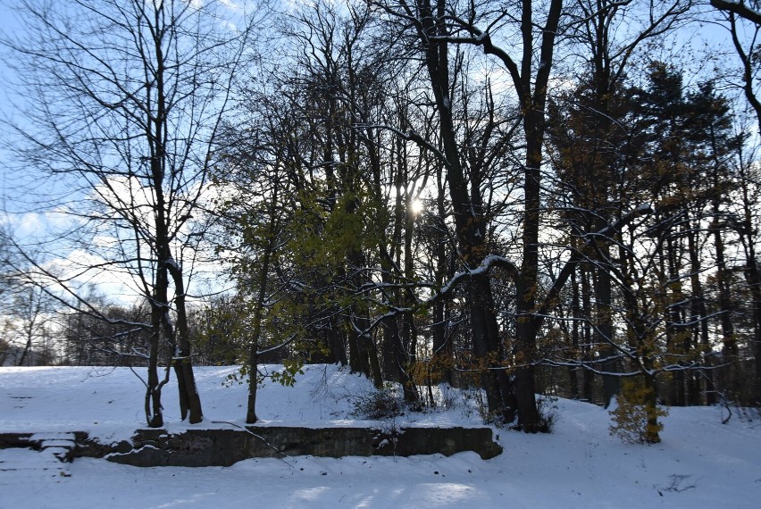 Park Kościuszki w wałbrzyskim Sobięcinie w śnieżnej szacie